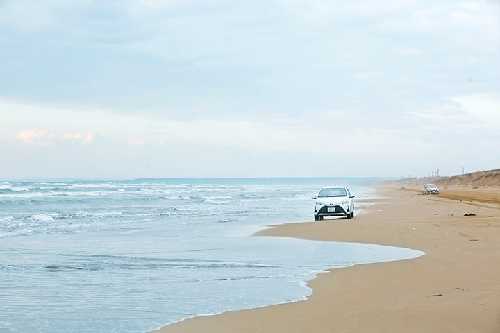觀光巴士、摩托車、自行車也可以行駛