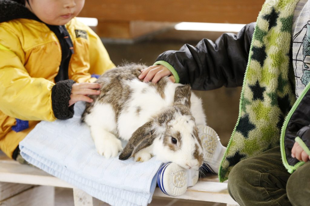 與父母和孩子一起在金澤郊區享受駕駛樂趣