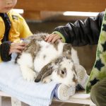 與父母和孩子一起在金澤郊區享受駕駛樂趣