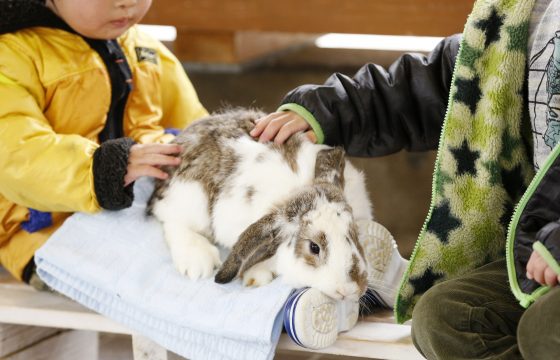 與父母和孩子一起在金澤郊區享受駕駛樂趣