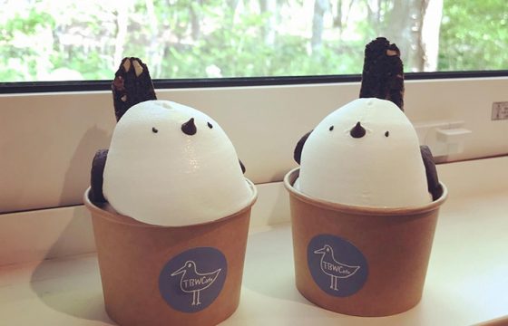 新千歲機場週邊推薦的隱藏寶石咖啡館