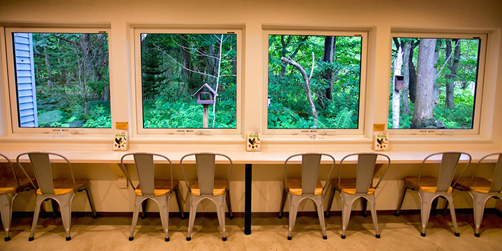  Counter seats facing the forest, lined with large windows