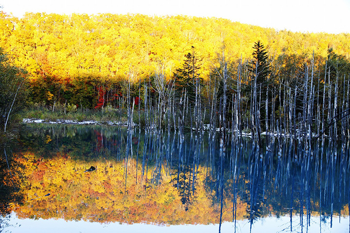  On a windless day, the view is reflected on the surface of the pond.