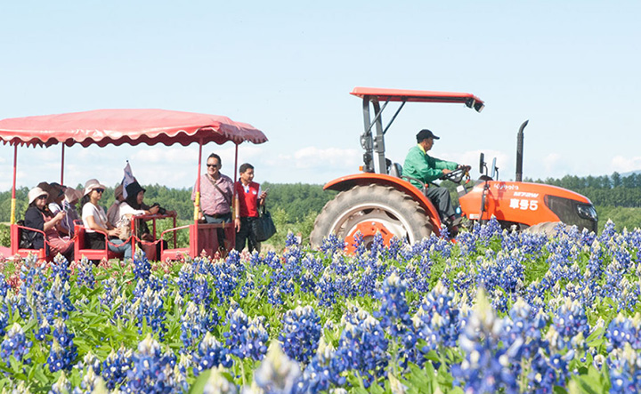  Tractor buses and carts are available for tours of the park