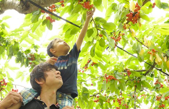 富良野和美瑛的8個即使下雨天也能享受的觀光景點