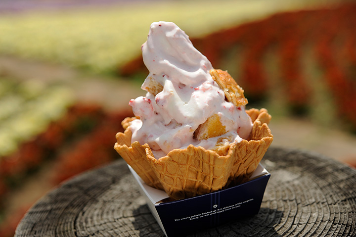 「乙女冰」450日圓