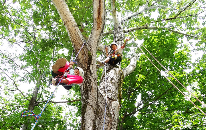 使用掛在樹枝上的繩子攀爬