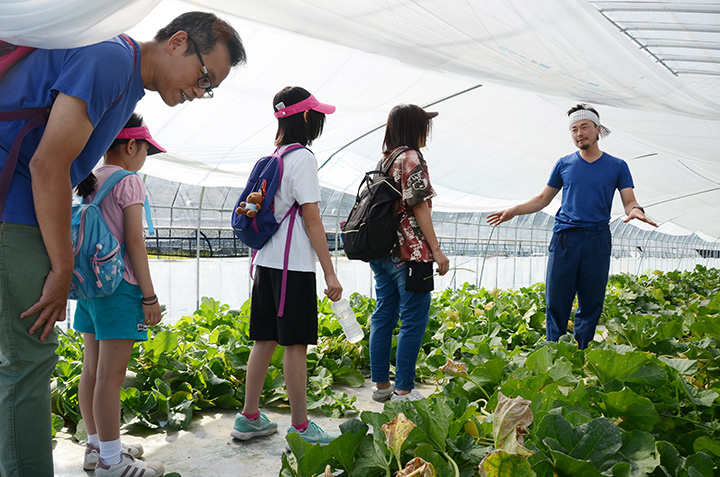 參觀富良野甜瓜屋，聆聽生產商的故事