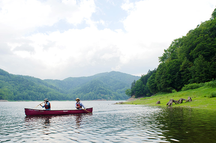 在只能從湖面到達的地區，您可以體驗未受破壞的自然風光