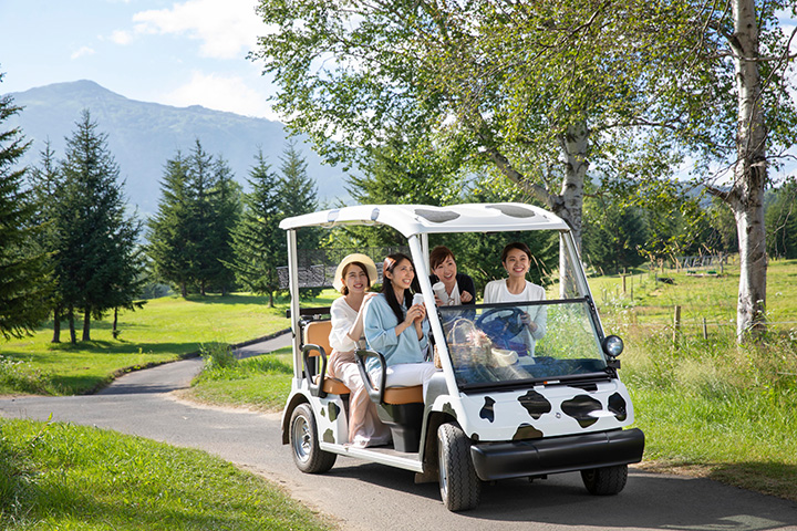 “卡丁車駕駛”，您可以在農場區的公園周圍享受駕駛的樂趣