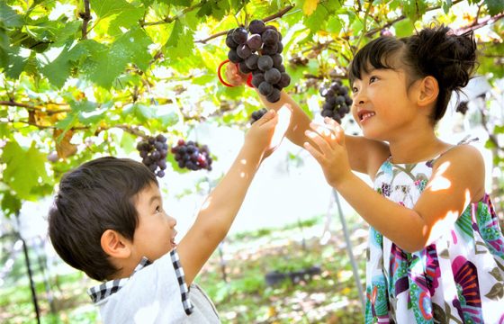 推薦給有孩子的家庭，河口湖8個郊遊地點