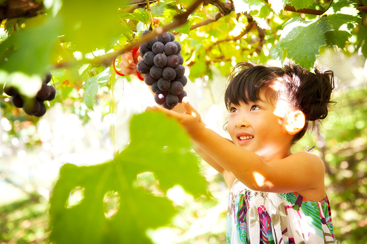 子ども連れにおすすめ 河口湖のおでかけスポット8選 みちくさガイド