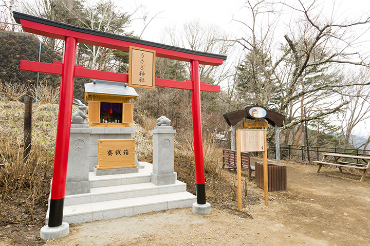 “兔子神社”。 隔壁的「狸茶屋」販售兔子造型的護身符