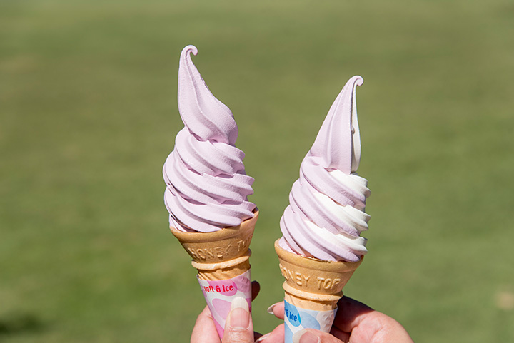 軟雪糕有香草、巨峰、混合三種口味。 每人 350 日元
