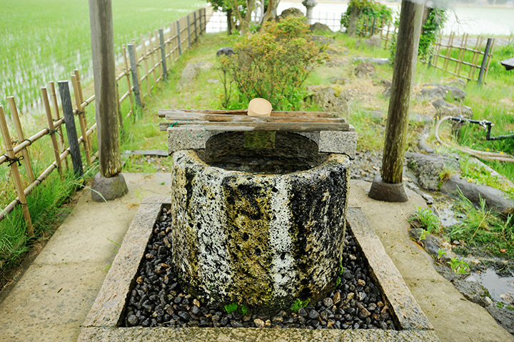 位於稻田中的「白水井」，受到當地人民的精心保護