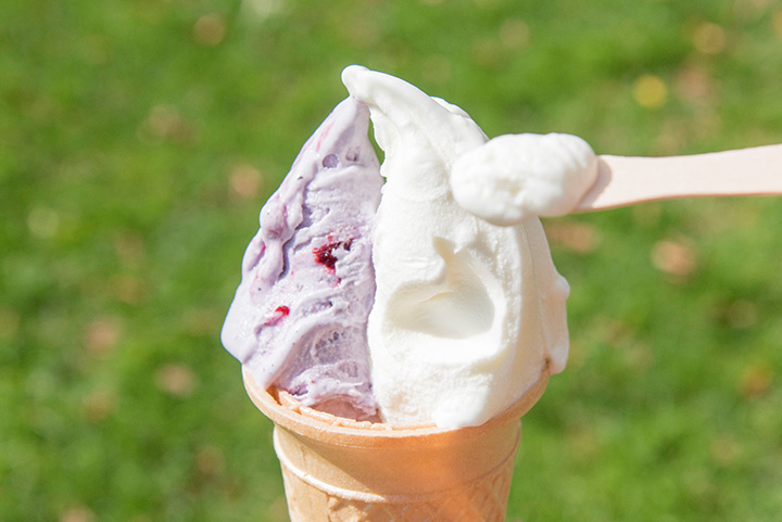 「澤西牛奶」和「藍莓」的雙倍350日圓。 單人房價為 300 日元