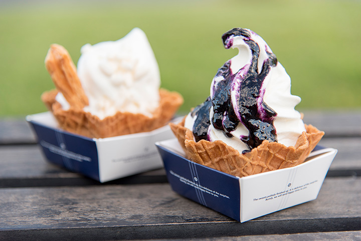 華夫餅型“農用冰”。 「大鈴」配花園越橘醬和「Masshigura」各 330 日元