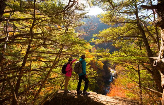 紅葉一覧 みちくさガイド