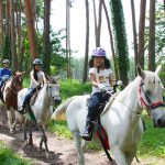 山梨八岳的活動與手工藝體驗