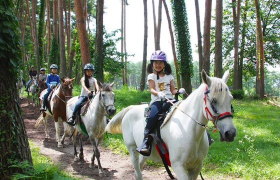 山梨八岳的活動與手工藝體驗