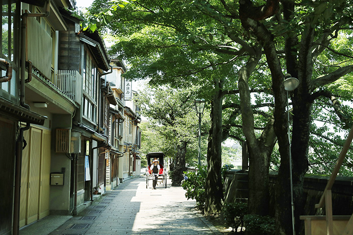 乘坐人力車觀光很有趣。
