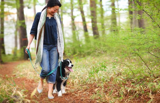 八山梨八岳及其周邊推薦的地點，適合帶寵物一起享受