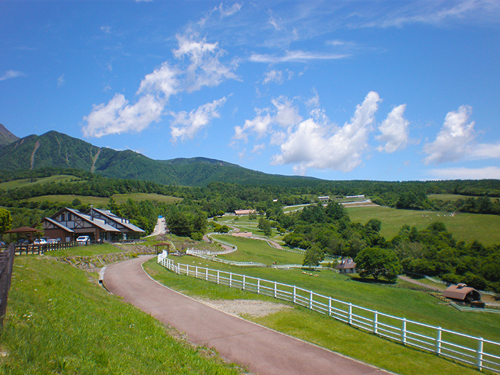 動物所在的區域旁邊有一條長廊