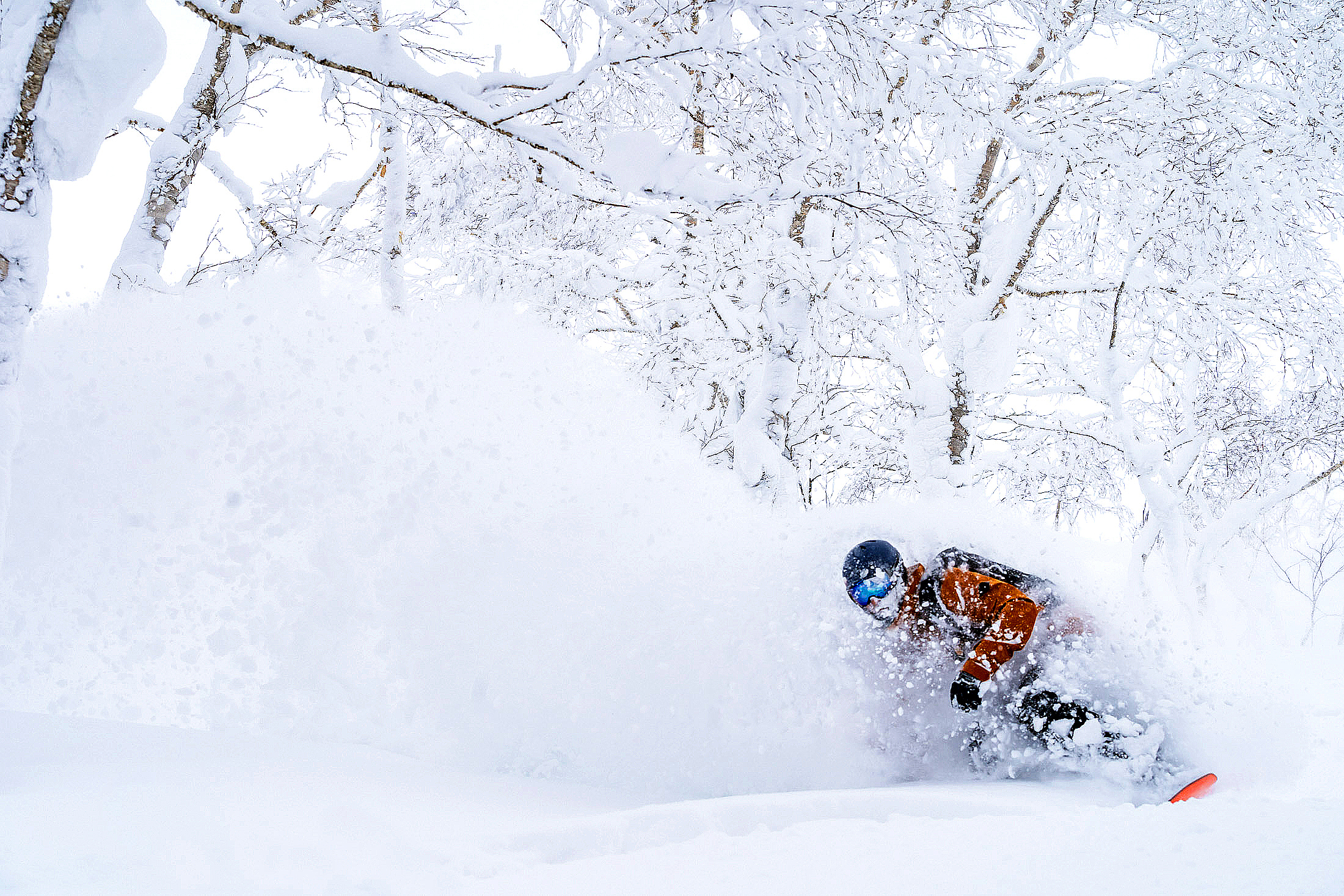 堆積了很多細粉雪