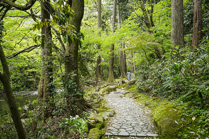 還有長椅，您可以在山谷的長廊上休息一下。