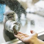 即使下雨也能享受。 箱根五大推薦觀光景點