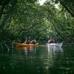 查看西表島的四個季節、溫度和服裝