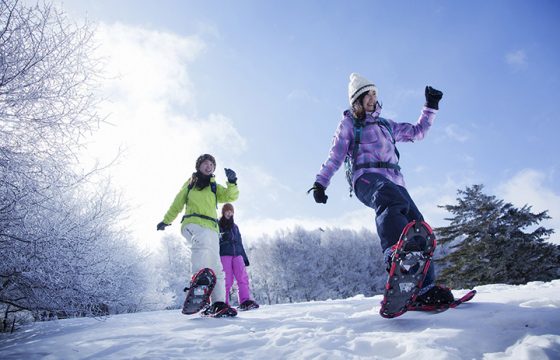 [2025年版] 推薦冬季活動，可在御町與白馬體驗