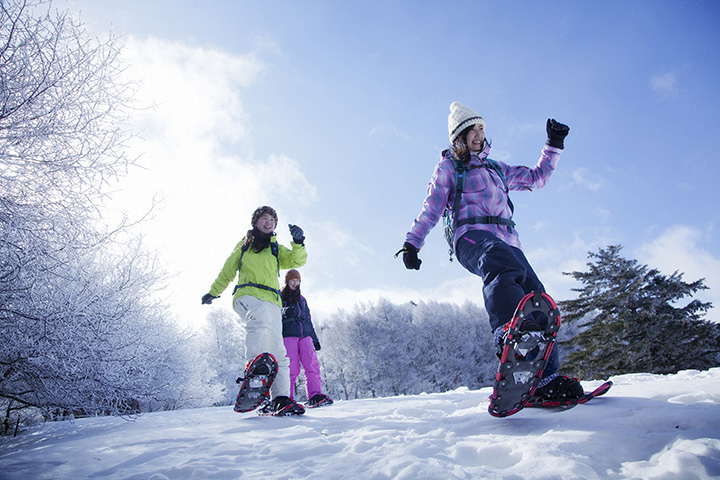 [2025年版] 推薦冬季活動，可在御町與白馬體驗