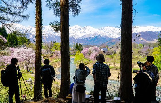 [2025年版] 春季大町和白馬地區的推薦觀光景點和櫻花景點