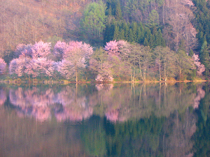 有著金鐘傳說的神秘湖泊