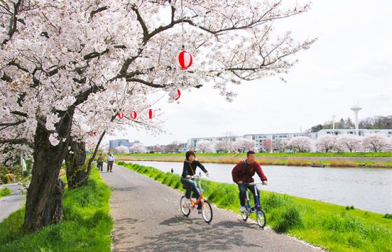 [2025年版] 在櫻花之都土浦市享受「土浦櫻花節2025」