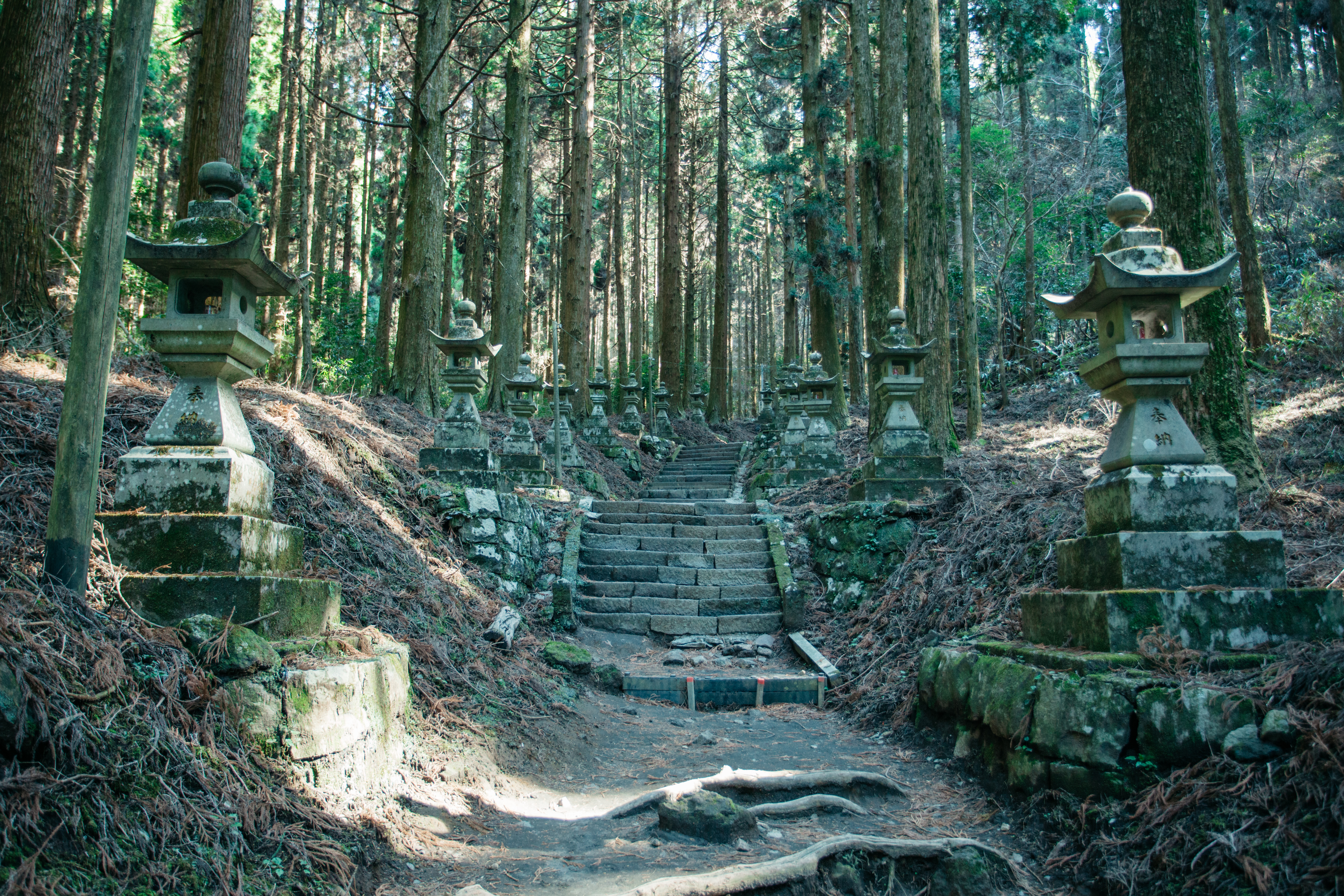 阿蘇を訪れたら立ち寄りたいパワースポット6選 水源から神社まで みちくさガイド