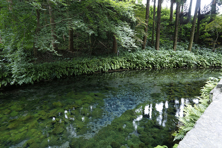 阿蘇を訪れたら立ち寄りたいパワースポット6選 水源から神社まで みちくさガイド