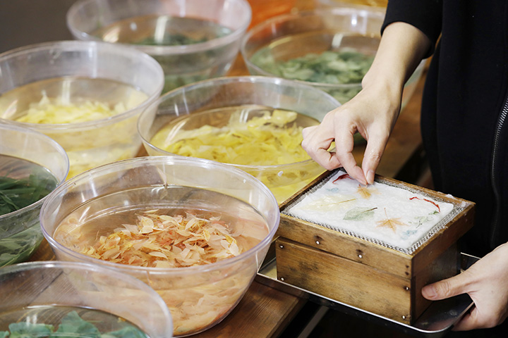 具有美麗自然色彩的植物和樹木被放置在一張紙上