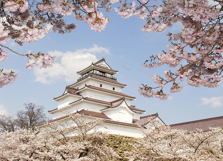 粉紅色的櫻花為紅瓦天守閣增添了更多的輝煌