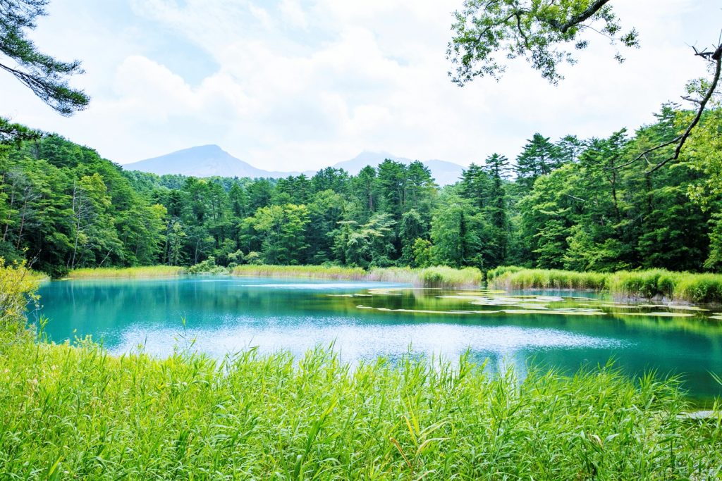 豬苗代和磐梯的7個推薦觀光景點