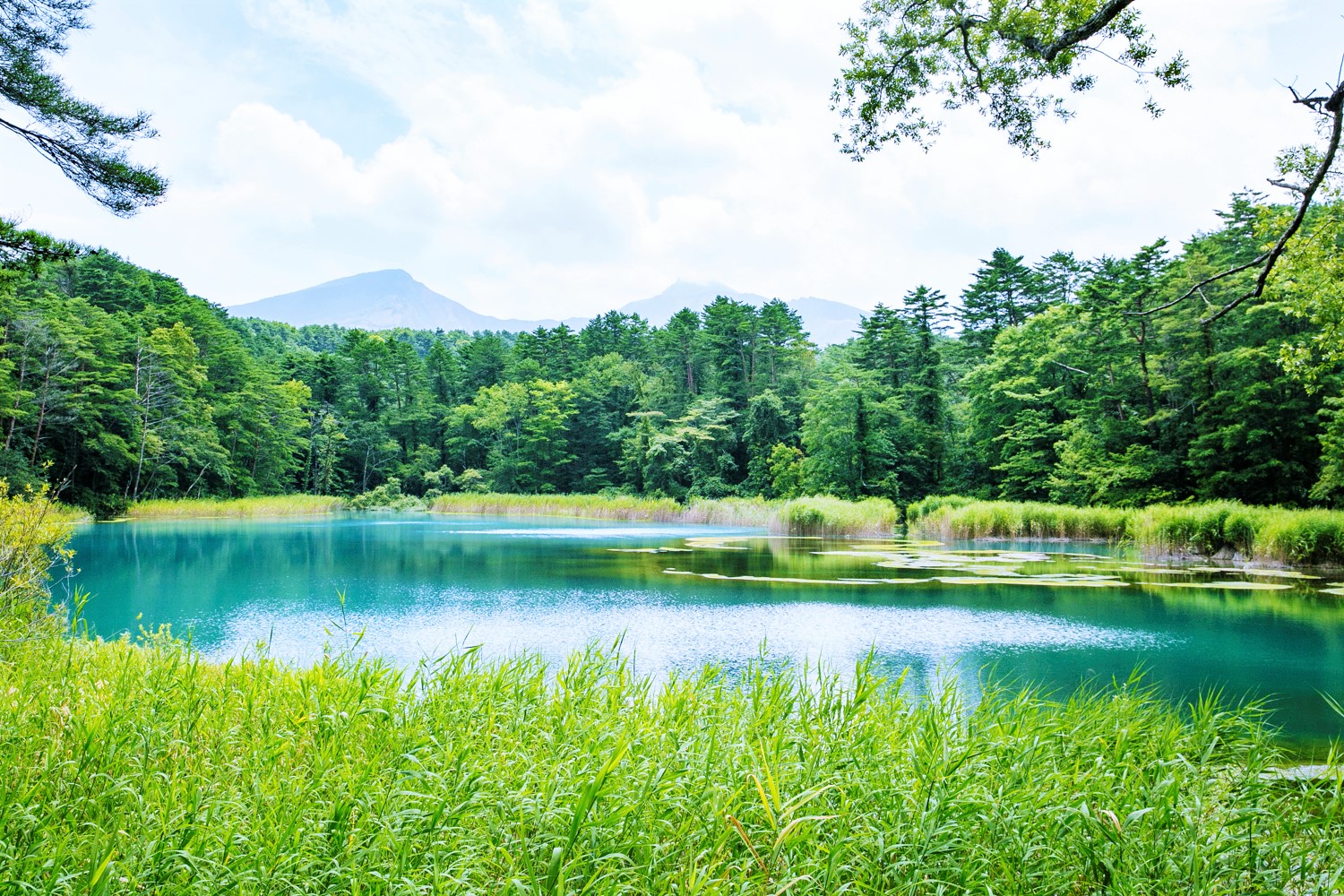 磐梯山和湖水一起可以看到「瑠里沼」