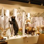 大町地區5個推薦與孩子一起享受的景點