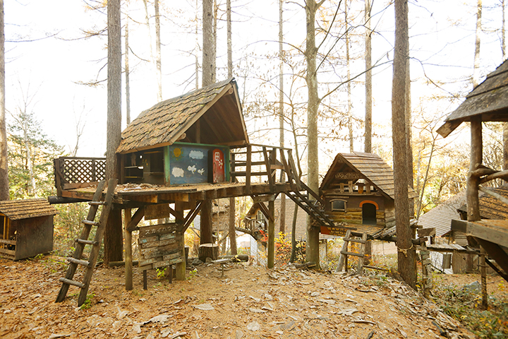 森林中散佈著許多樹屋。