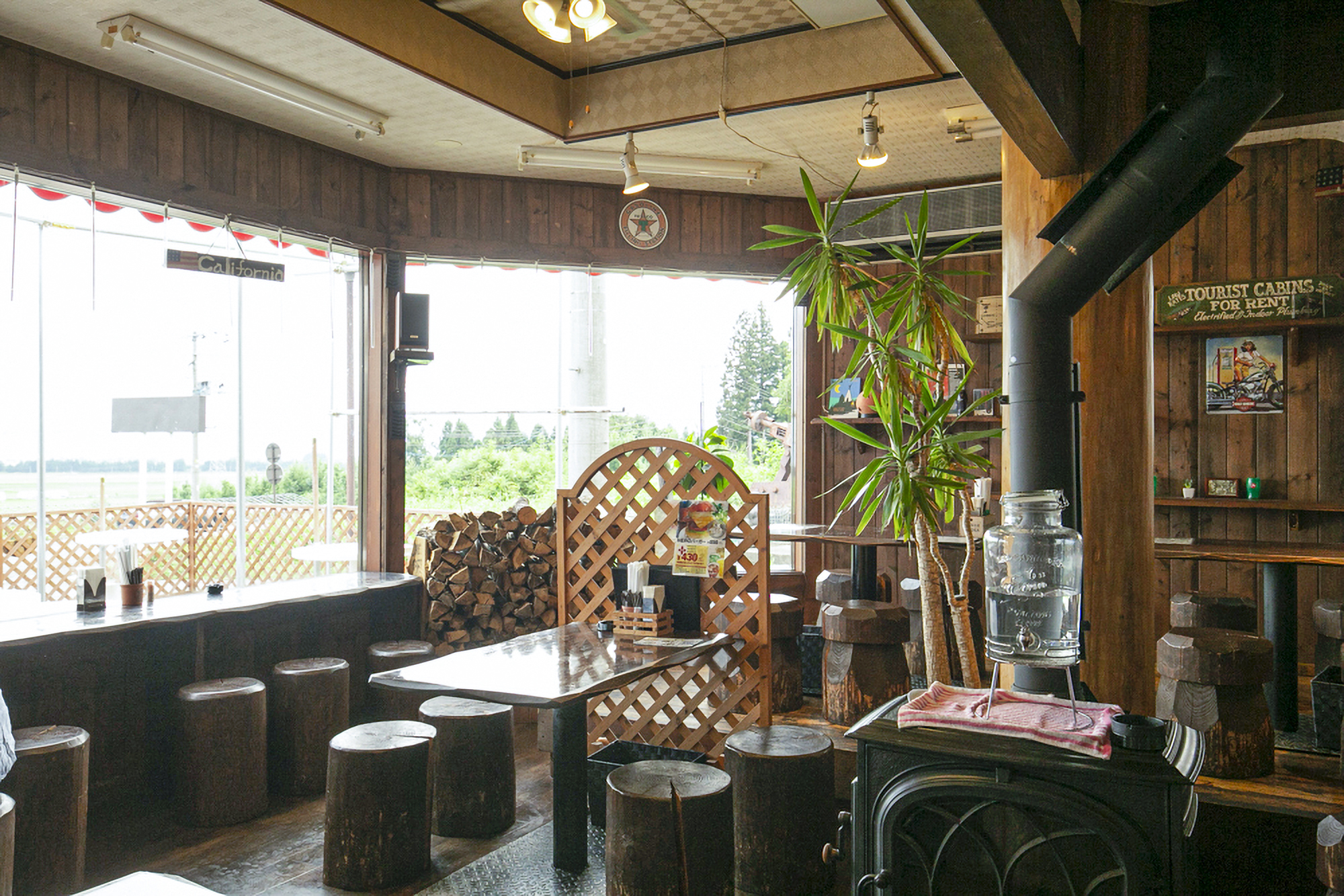 明亮的內部裝潢配有大窗戶。 您的狗可以與您共度時光