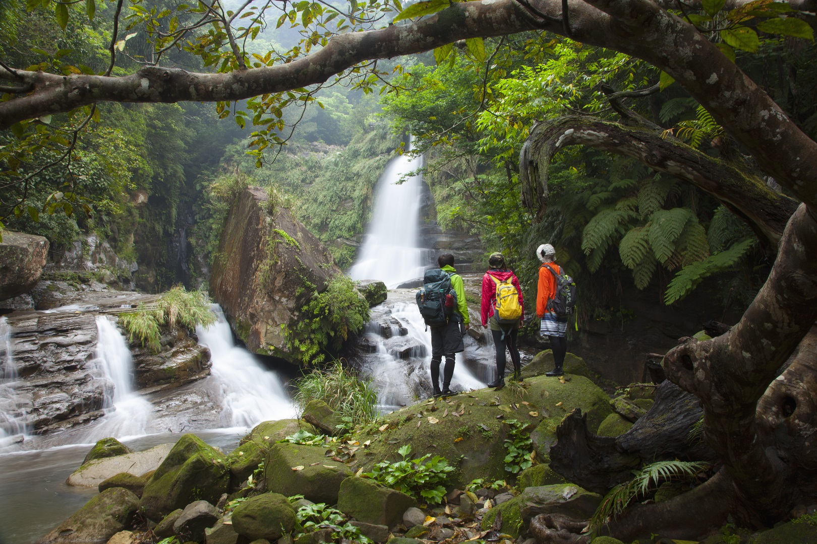트레킹, 카약, 스노클링 등 미지의 이리오모테 섬을 즐기기 위한 다양한 액티비티들이 있습니다