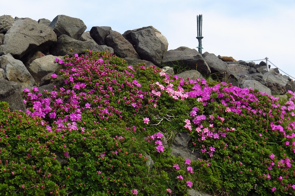 美山霧島，為高千穗峰的山面增添色彩。 最上面矗立著「天逆戟」