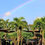 4 家可欣賞石垣島壯麗景色的咖啡館，您下次旅行必去