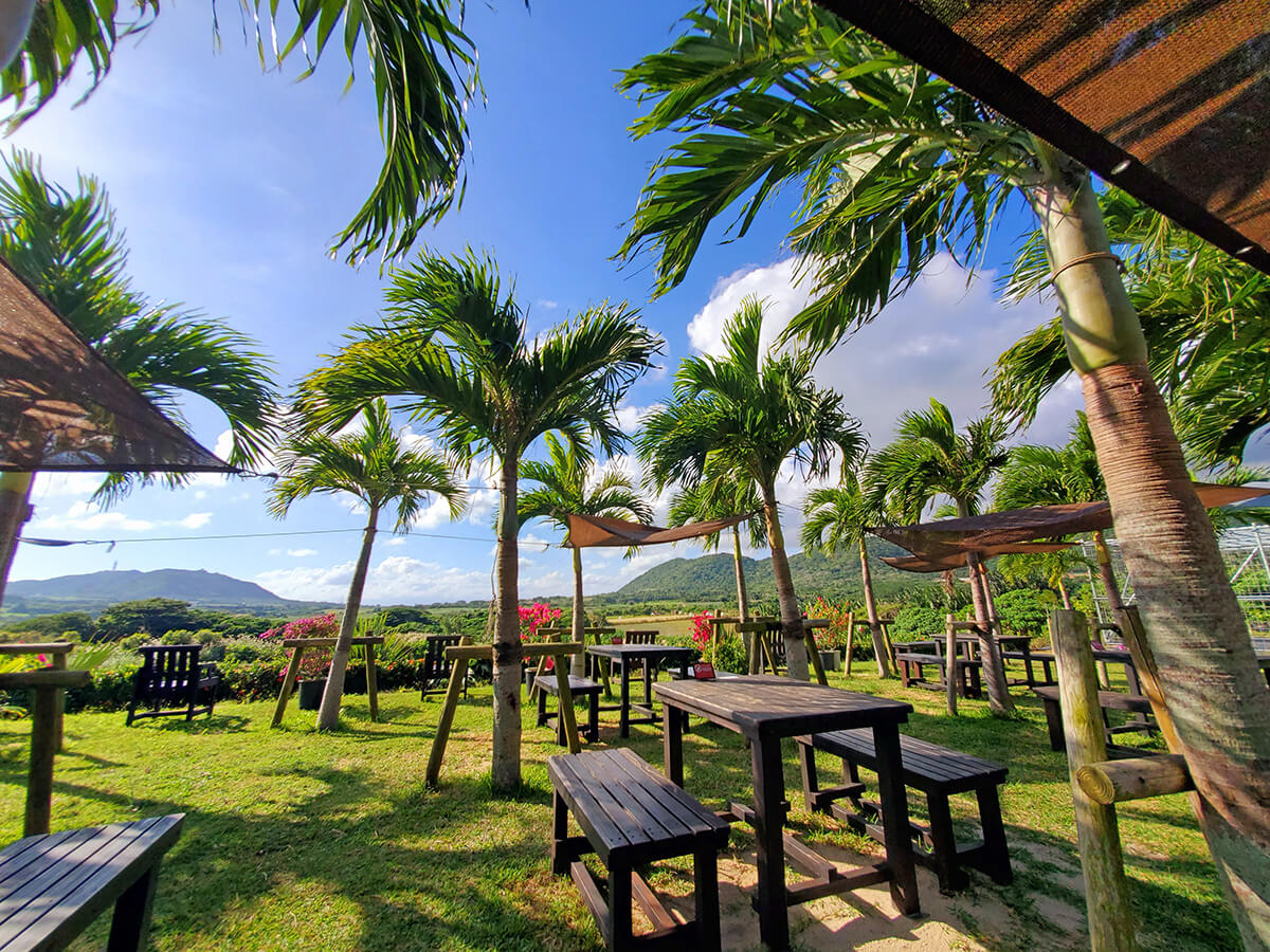 充滿熱帶風情的花園。 右邊是弓毛山（海拔525m），左邊是版納山（海拔230m）