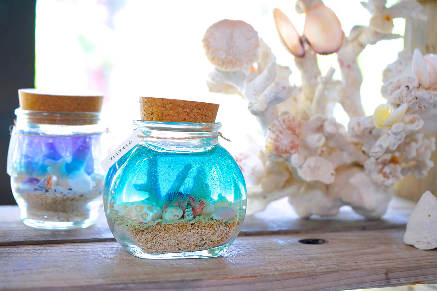 竹富島⭐︎星の砂と珊瑚と貝殻 - インテリア小物